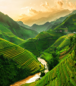 Mộc Châu 2 ngày 1 đêm